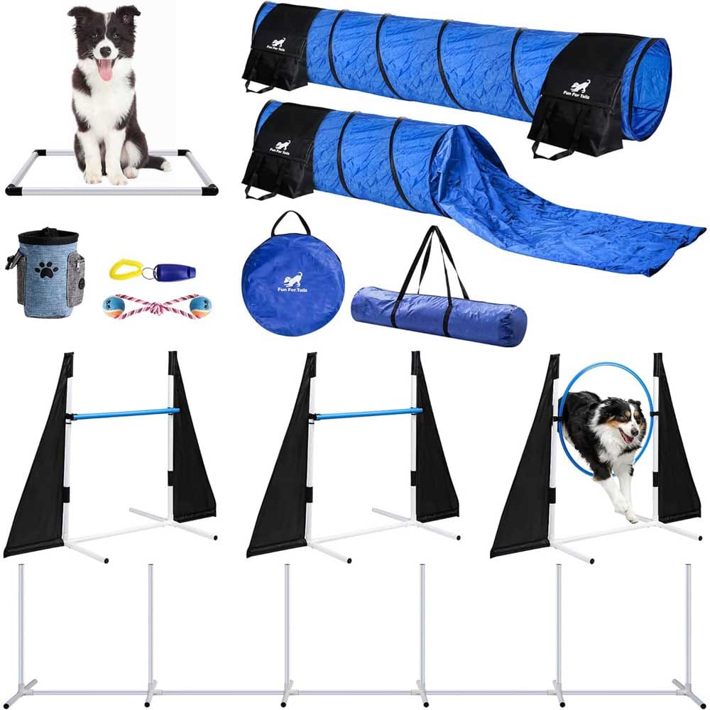 Canine Agility Training Equipment