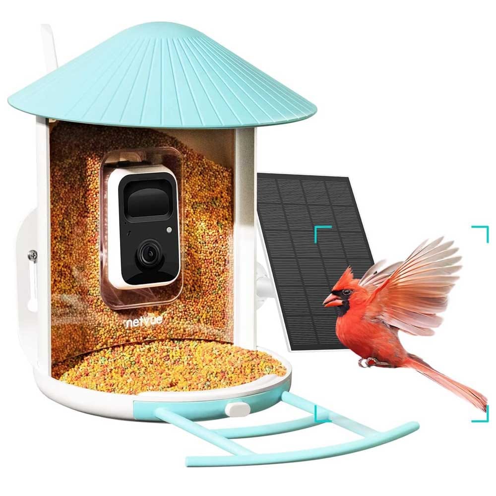 Smart Bird Feeder With Camera - For Bird Photos