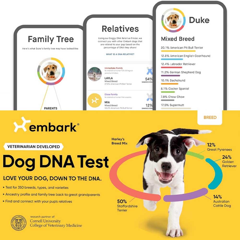 Accurate Dog DNA Test Kit - Family History Information