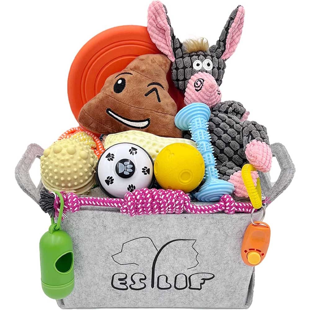 Chew Toy Gift Basket - One of my favorites