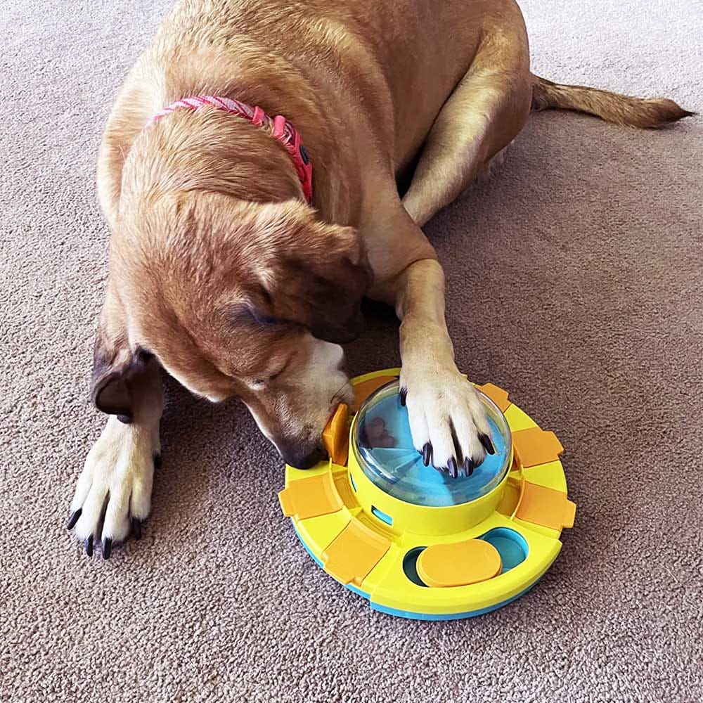 Puzzle Treat Feeding Toy