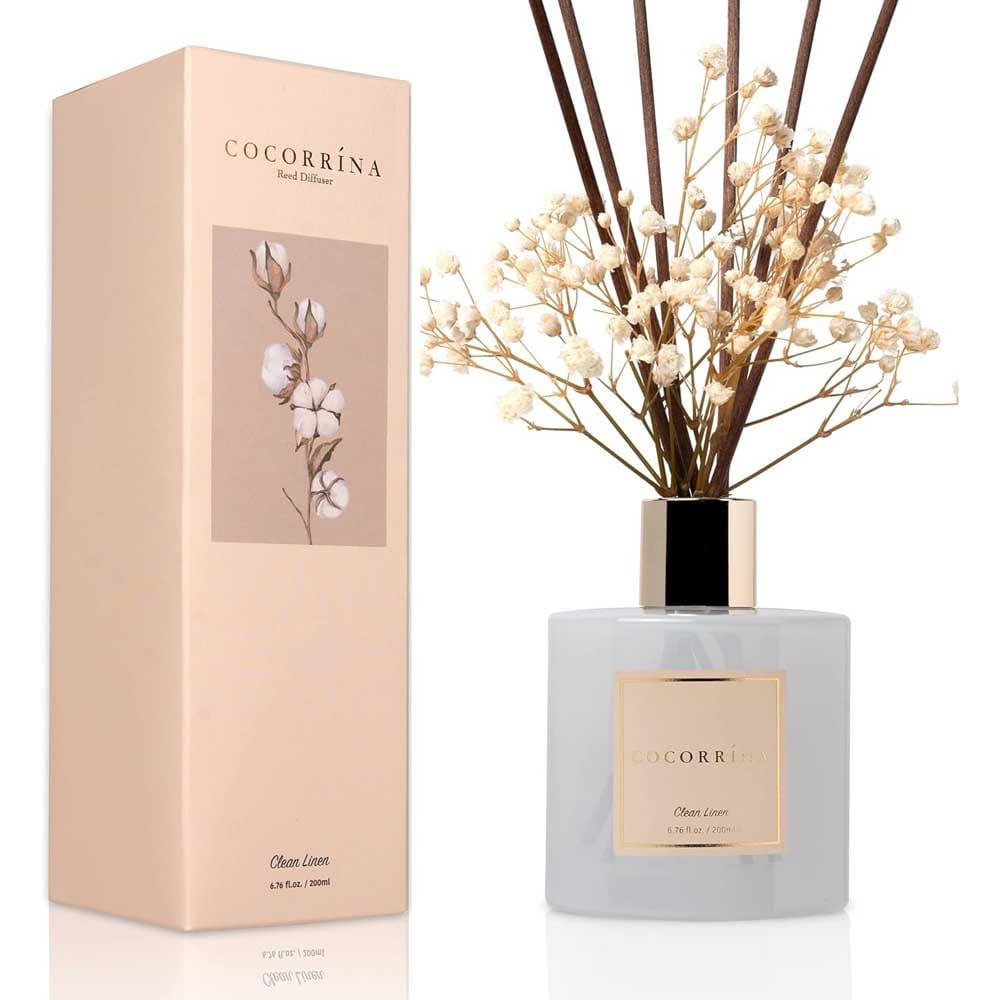 Cocorrína Reed Diffuser Set