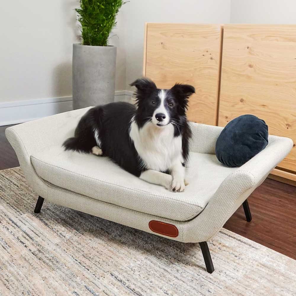 Premium Elevated Pet Couch