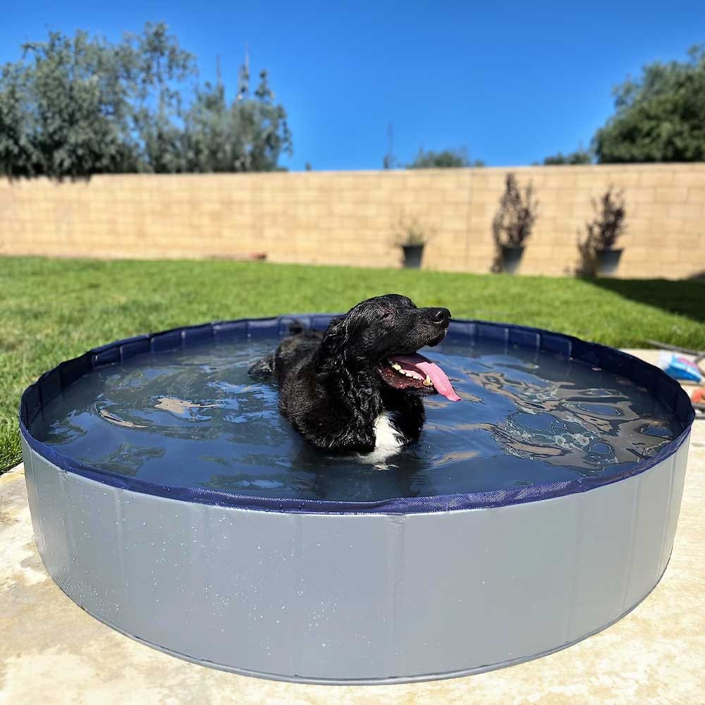 Foldable Dog Swimming Pool - Birthday Gifts