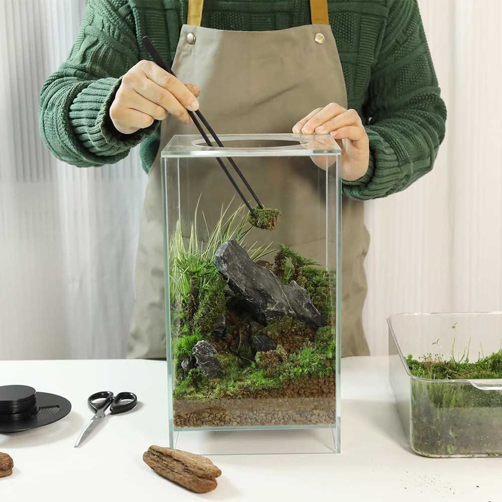 New Hobby For Husbands - Terrarium, Aquarium