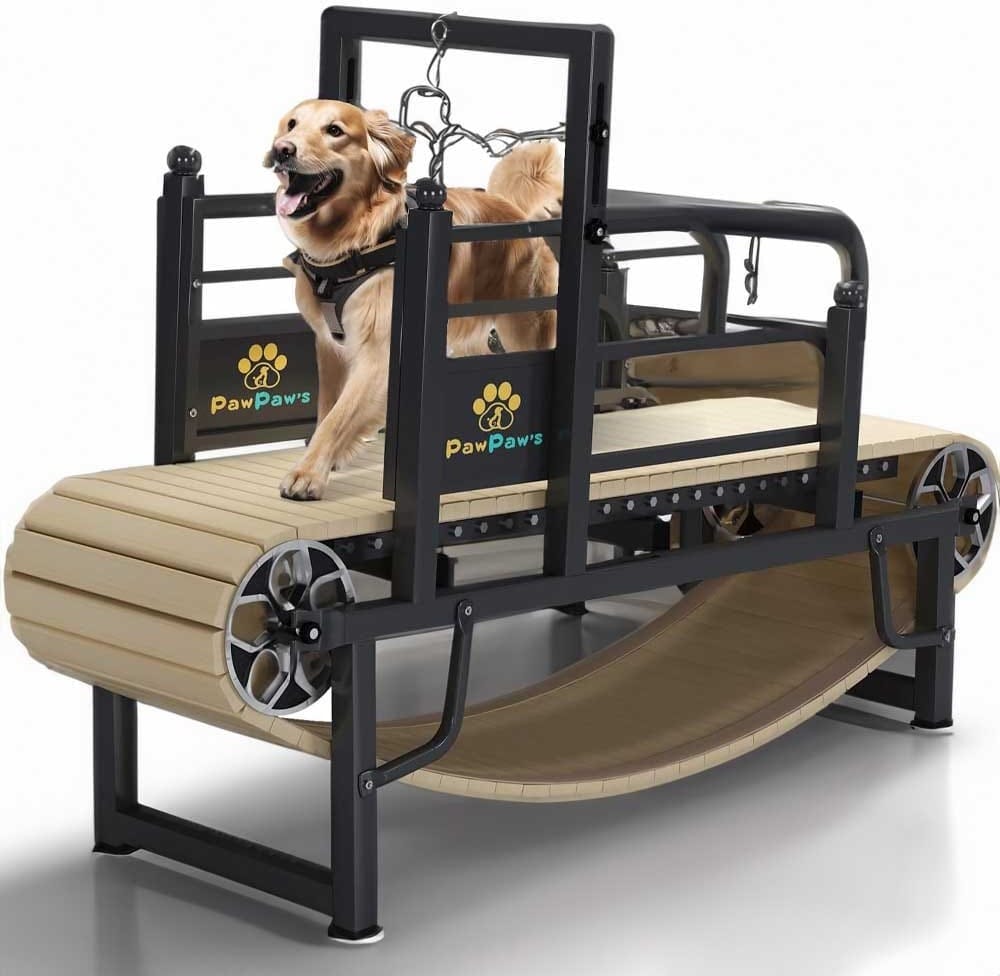 Canine Treadmill for Large & Medium Dogs